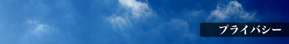 プライバシーポリシー
